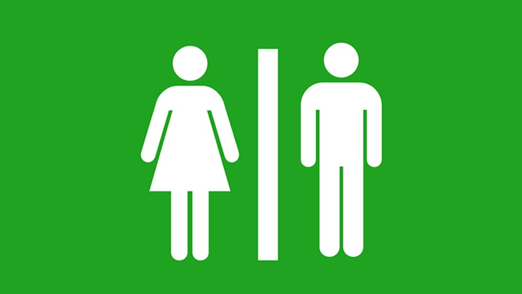 Unisex-Toilette, Vedsted See