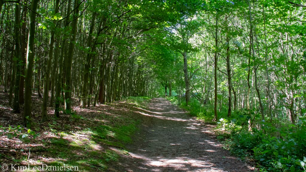 Shelter bei "Bergs Plads" - in der Nähe des Wildgeheges Haderslev