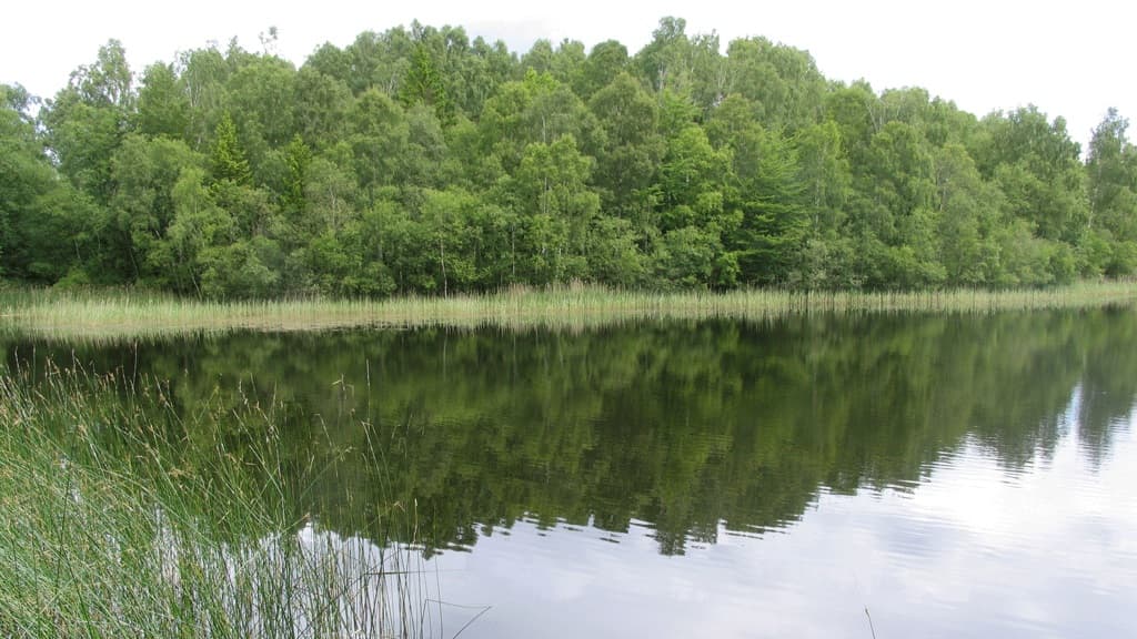 Teglsø (See)