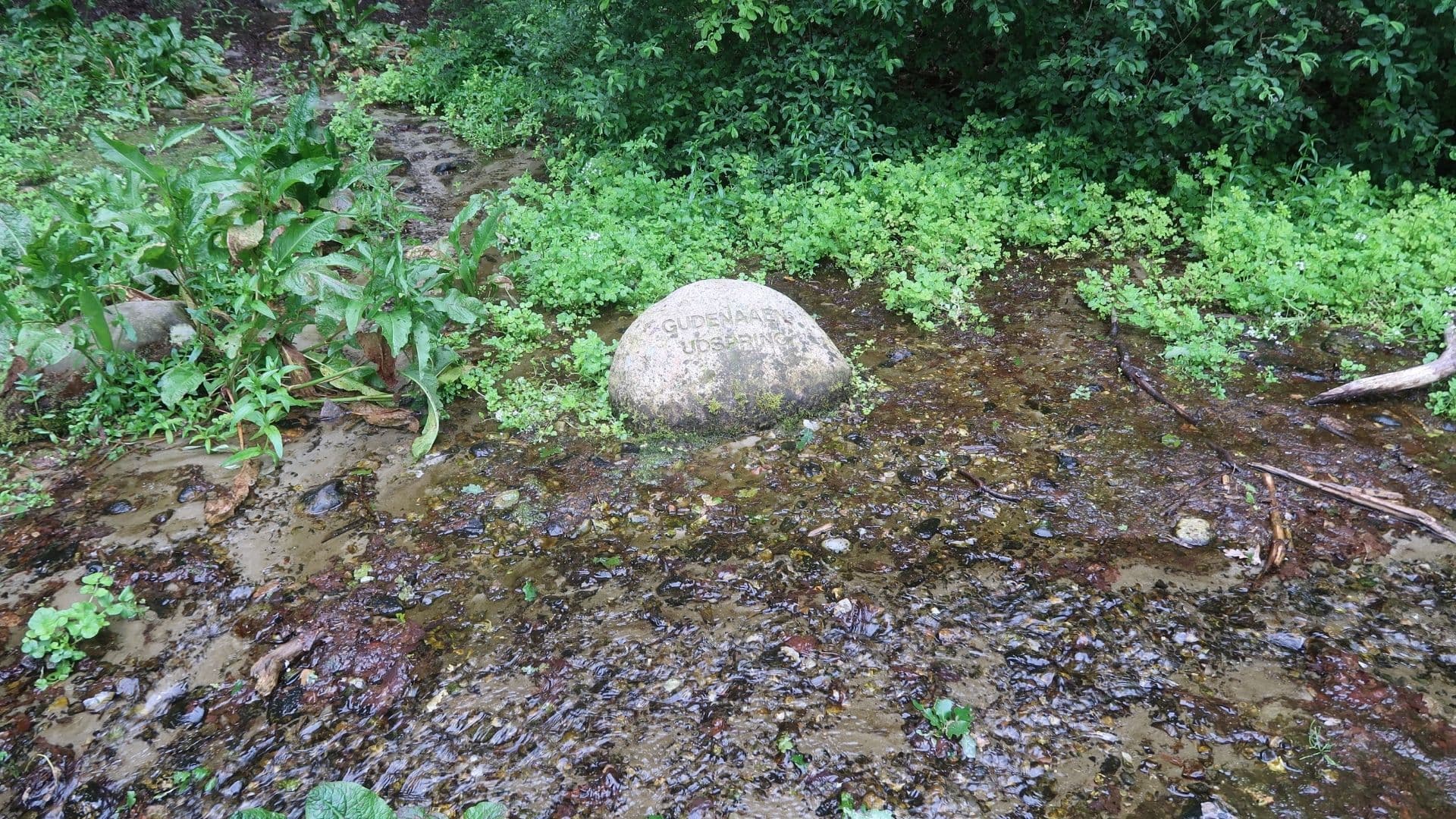 Rørbæk See, Gehölz Tinnet Krat und die Quelle des Flusses Gudenå