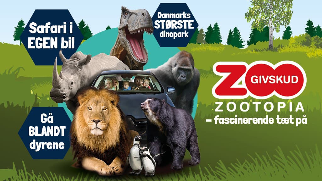 Givskud Zoo Banner Bild mit Tieren um ein Auto auf einer grünen Wiese