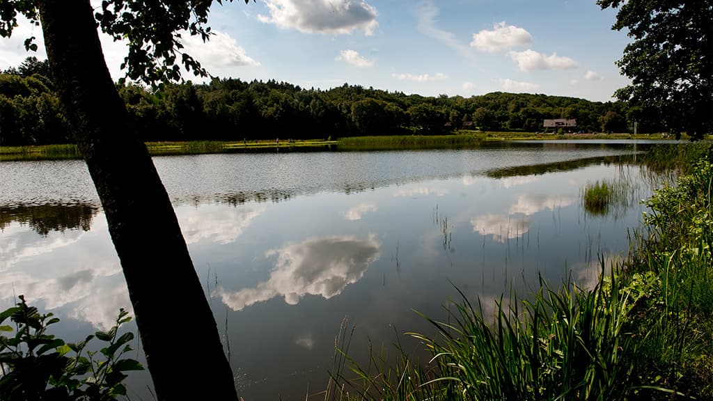 Rørbæk See, Gehölz Tinnet Krat und die Quelle des Flusses Gudenå