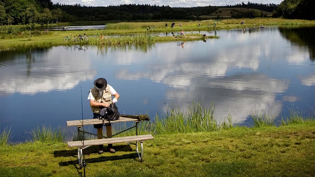Rørbæk See, Gehölz Tinnet Krat und die Quelle des Flusses Gudenå