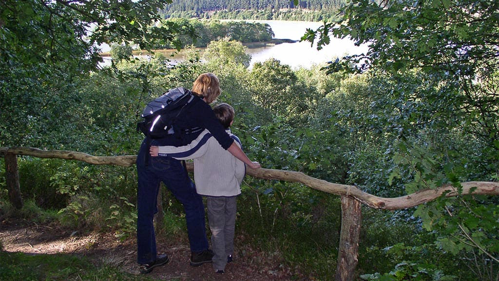 Rørbæk See, Gehölz Tinnet Krat und die Quelle des Flusses Gudenå