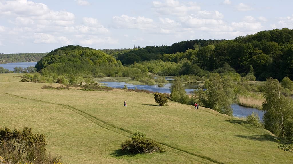 Rørbæk See, Gehölz Tinnet Krat und die Quelle des Flusses Gudenå