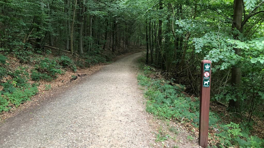 Nørreskov Hundewald